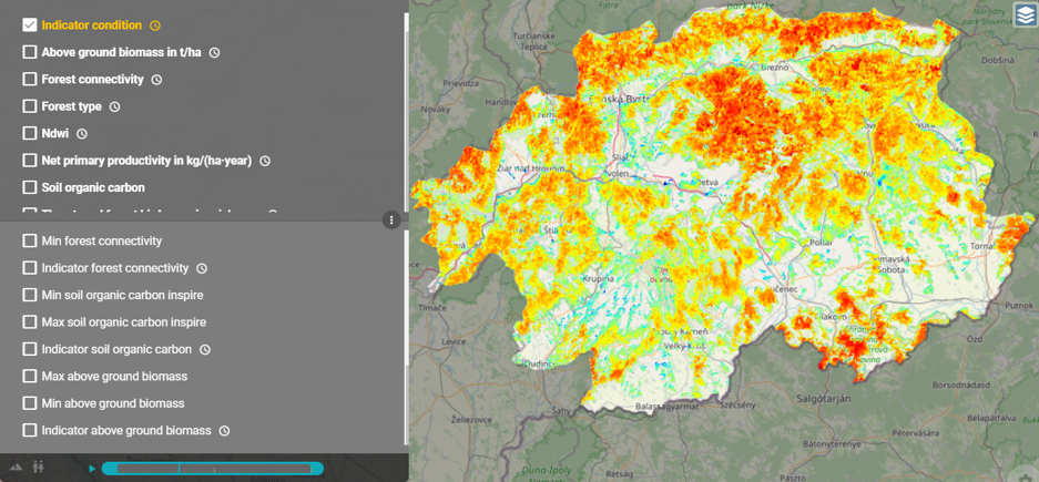 Forest Condition Account index map for Central Slovakia 